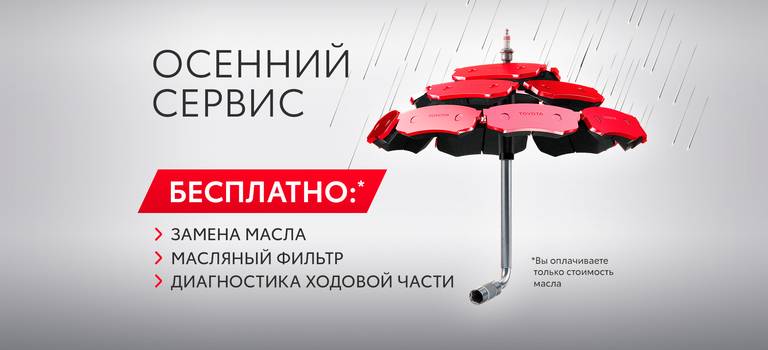 Осенний сервис