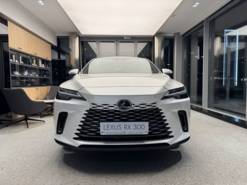 Lexus RX 2025 г. (белый)