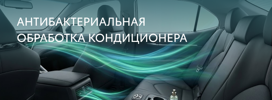 Специальная цена 95 BYN