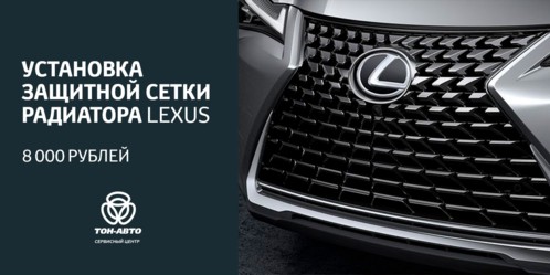 Установка защитной сетки радиатора Lexus ТОЛЬЯТТИ